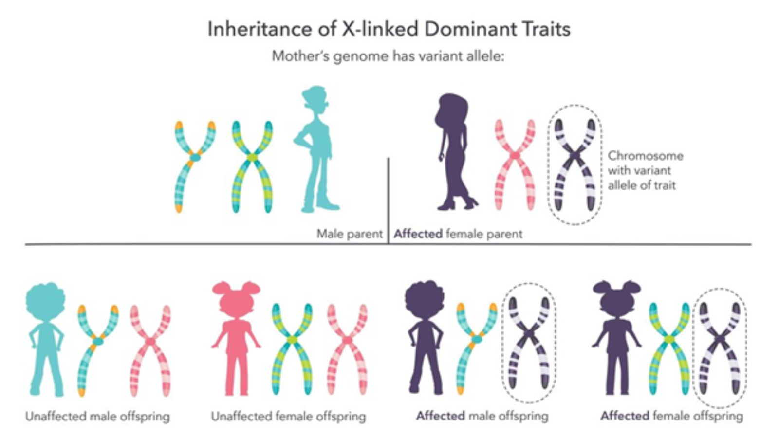 Gene Therapy Overview