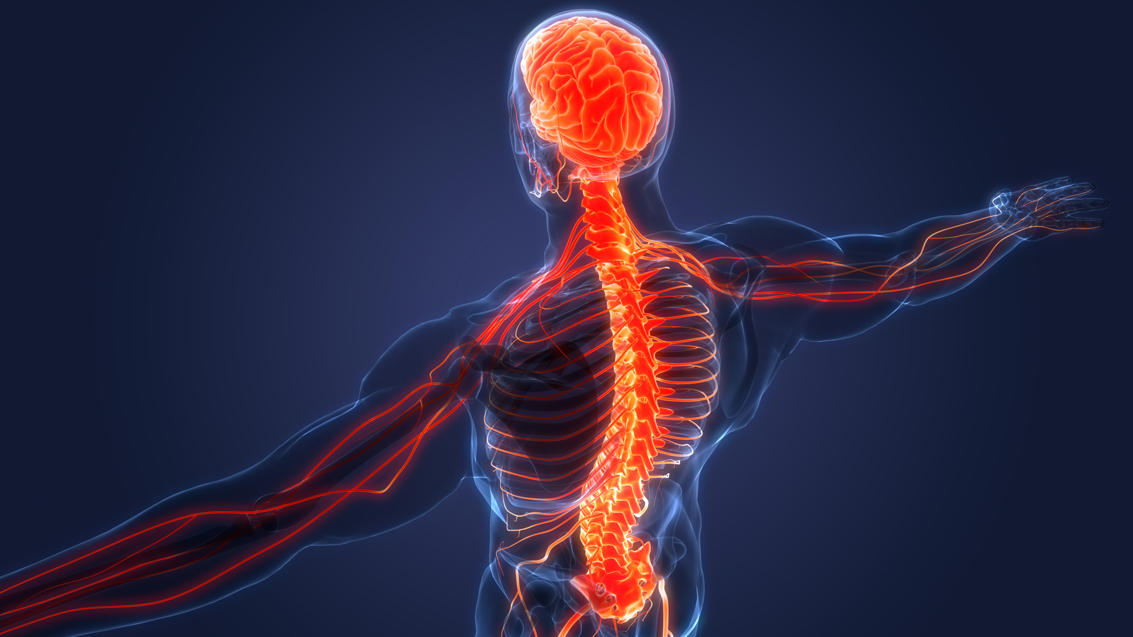 Nervous System Recovery - Reeve Foundation